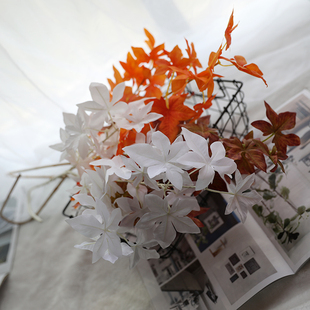 仿真叶子红枫叶假树叶装饰仿真枫叶树婚庆绿植插花家居摆件鸡爪槭