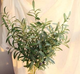 仿真绿植橄榄枝 单支橄榄叶束假树枝婚庆家居摄影道具插花材装饰
