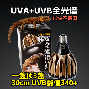 pnd原创爬宠uva uvb全光谱爬宠灯乌龟蜥蜴晒背灯补钙灯省电大光照