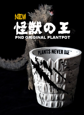 PND原创白色泼墨怪兽块根植物日式花盆无釉料透气大径万象盆多肉