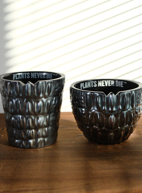 pnd原创怪兽块根植物陶瓷花盆潮流龙舌兰龟甲龙多肉盆透气爆款