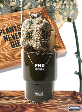 pnd原创军事风加高块根花盆绿植多肉大口盆日式陶瓷透气植物盆