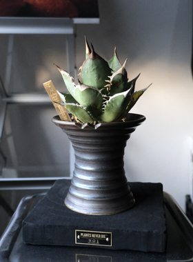 pnd原创长颈金属釉做旧块根花盆大口径万向陶瓷盆龙舌兰盆景多肉