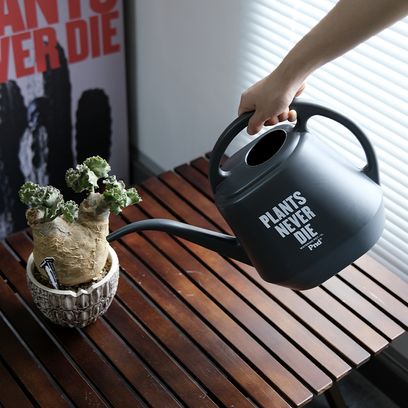 pnd长嘴植物浇水壶大容量高颜值