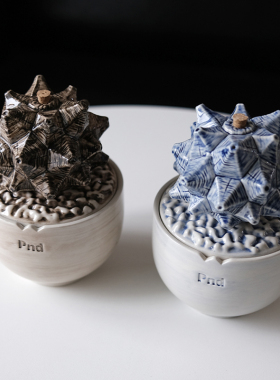 pnd原创潮流龟甲龙造型陶瓷香薰炉块根植物黑色现代简约室内家用