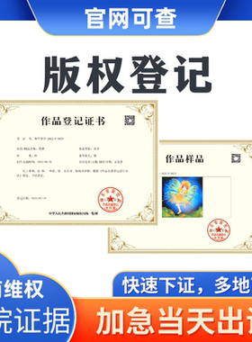 国家版权登记作品美术ip视频著作权服装图形图片知识产权加急申请