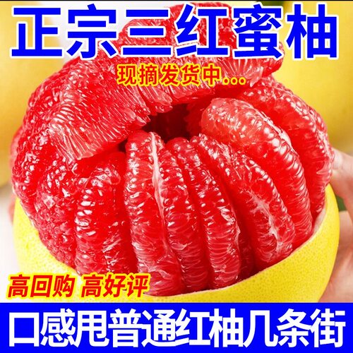 【老树红柚】正宗红心蜜柚福建红蜜柚子时令孕妇新鲜水果