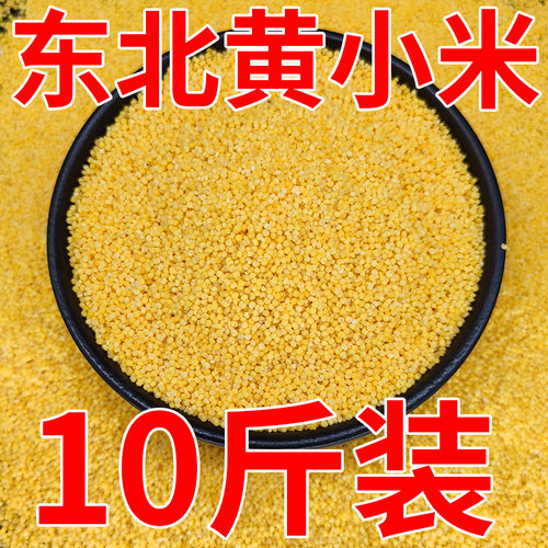 东北黄小米10斤装可煮粥做饭