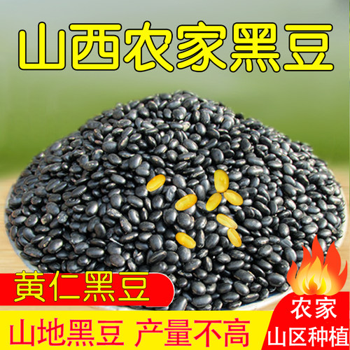 农家自产小黑豆打豆浆