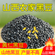 5斤 农产品黑豆 农家黑豆山地自种黄芯仁豆浆小黑豆杂粮黑小豆散装