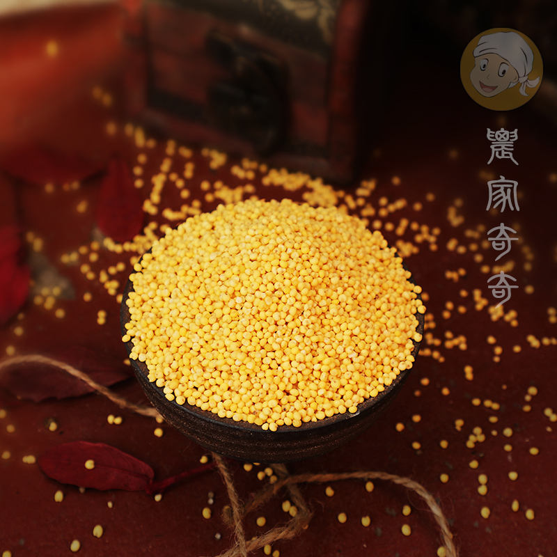 山西特产糯小米大黄米