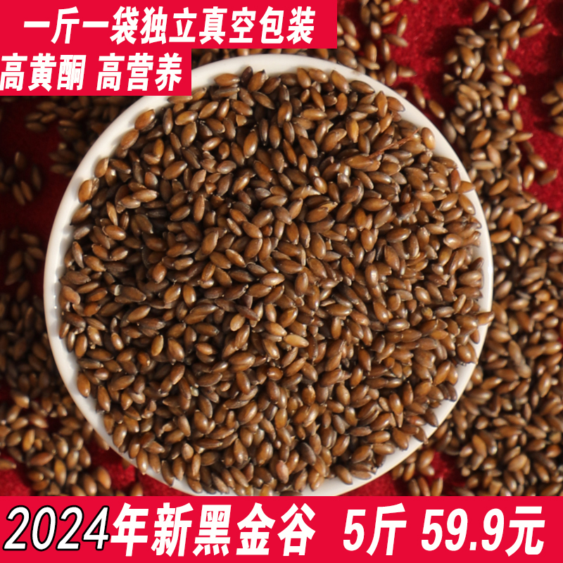 2024年新黑金谷5斤陕西秦岭山黑金谷米血燕麦野生黑金谷5斤真空