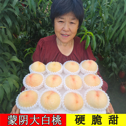 山东蒙阴大白桃脆甜新鲜桃子现摘