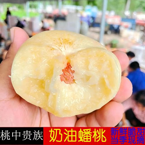 山东蒙阴奶油应季现摘桃子包邮