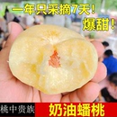 山东蒙阴蜜桃白玉奶油蟠桃纯甜应季 现摘现发 新鲜水果扁桃子 包邮