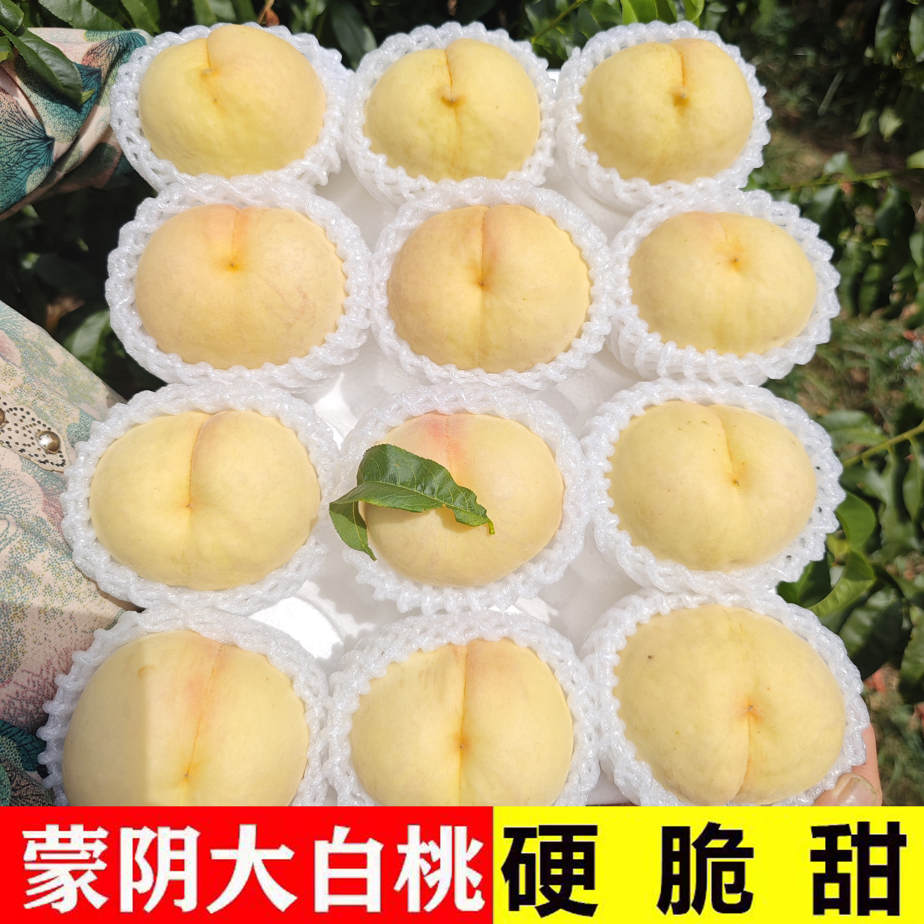 山东蒙阴脆甜白桃新鲜水果5斤