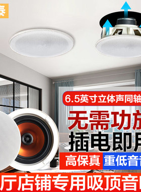 语泰同轴吸顶音箱重低音立体声