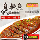 臭鳜鱼臭桂鱼鲑鱼黄山特产净膛去鳞去腮1.4 1.5斤正宗徽州臭鳜鱼