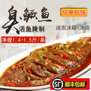 臭鳜鱼臭桂鱼鲑鱼黄山特产净膛去鳞去腮1.4 1.5斤正宗徽州臭鳜鱼