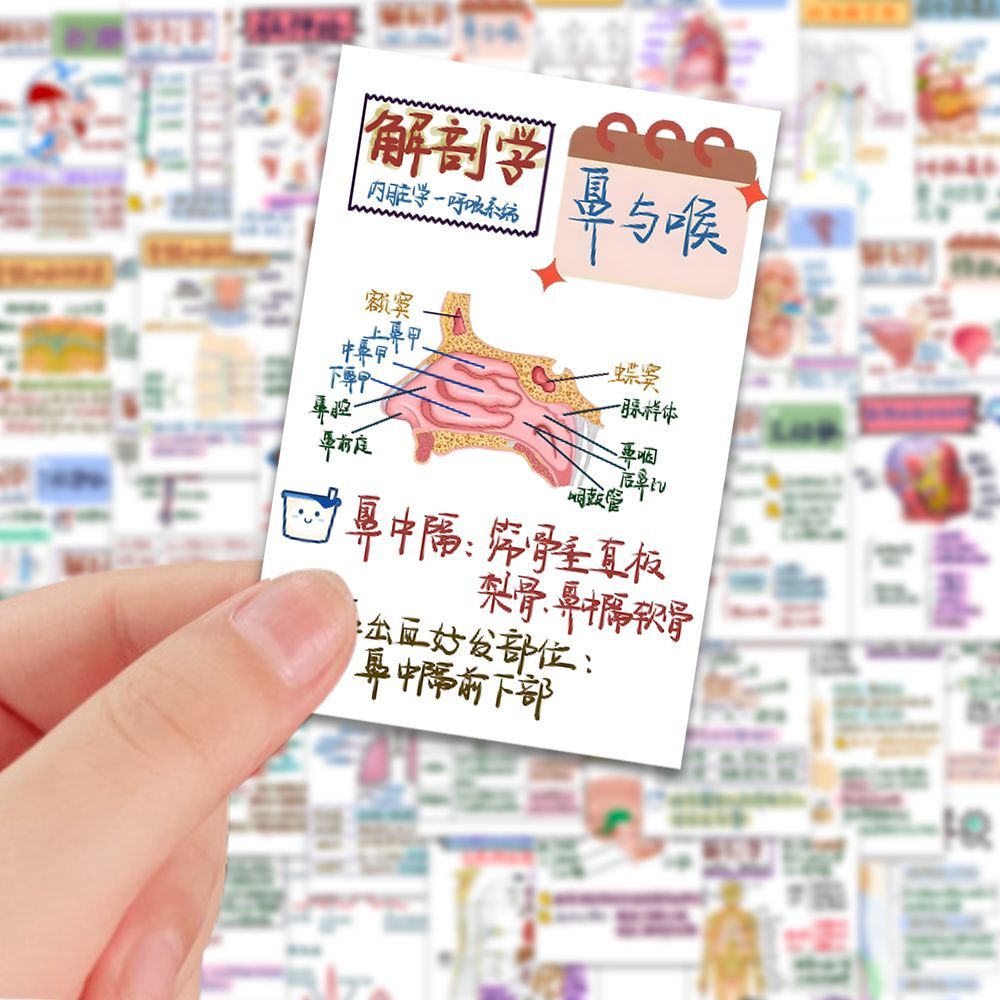 108张彩绘解剖人体解析贴纸医学生备学习笔记贴画diy笔记本粘贴