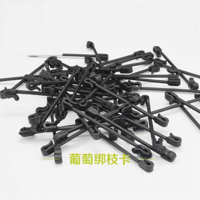 葡萄卡子上架绑枝卡固定挂钩爬藤架便捷新式塑料西红柿枝条卡扣。|msdalam kategori penghantaran bunga/bunga simulasi/tumbuhan berkebun, Gardening Supplies, Peralatan Perkebunan lain - dari Buy2taobao.com untuk memberikan perkhidmatan ejen Taobao profesional membeli