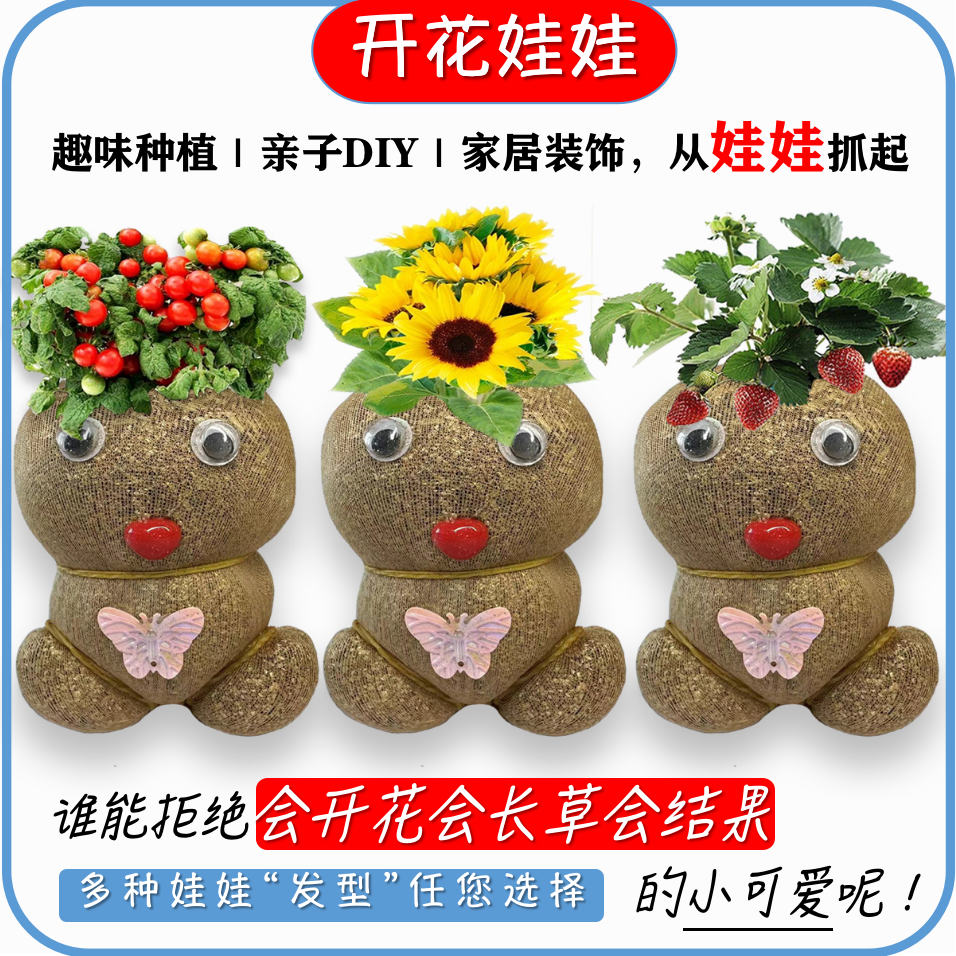 新款开花结果草头娃娃盆栽桌面摆件好养绿植网红同款培养儿童兴趣