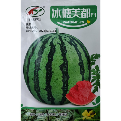 冰糖美都西瓜种子大红瓤耐裂
