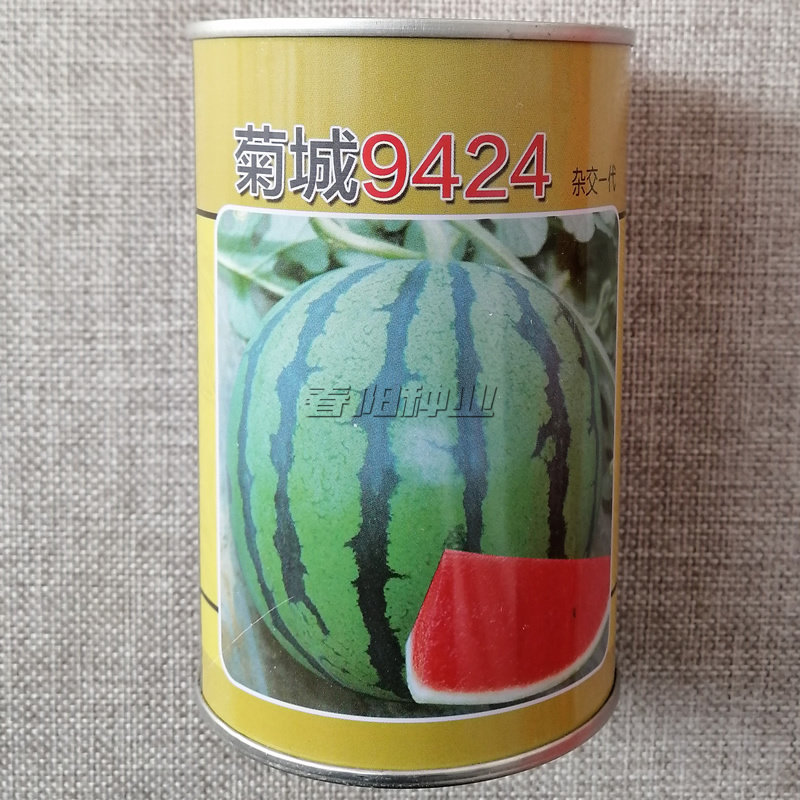 菊城9424西瓜种子早佳西瓜