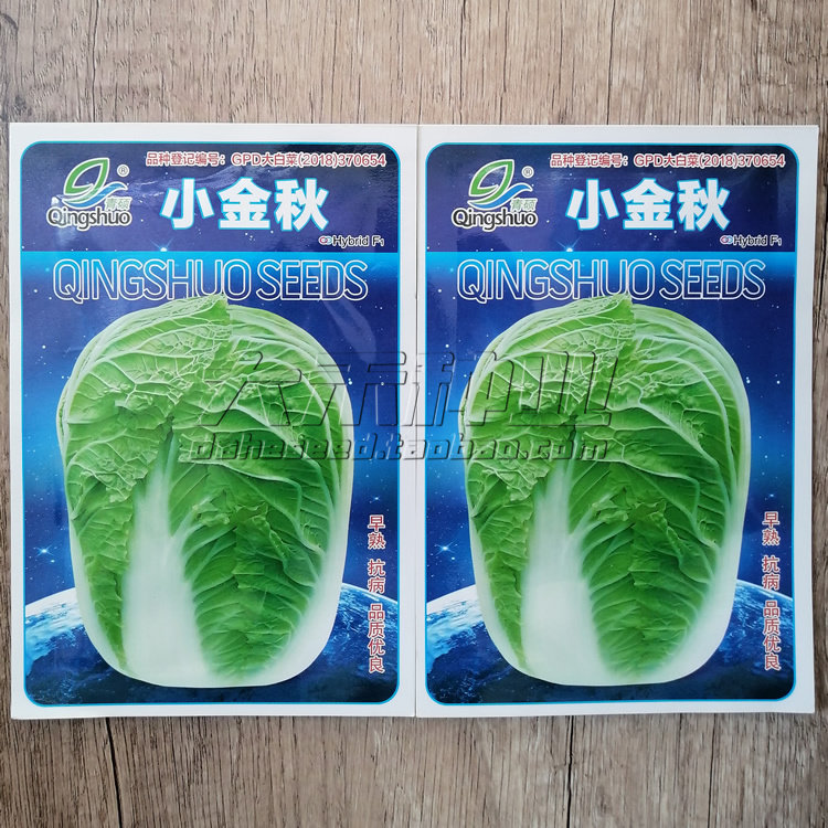 青硕小金秋白菜种子早熟抗病品质优良秋季大白菜种籽抗病耐贮运