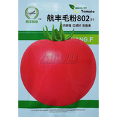 航丰毛粉802F1番茄种子高秧粉红果西红柿种籽抗病口感好耐裂果