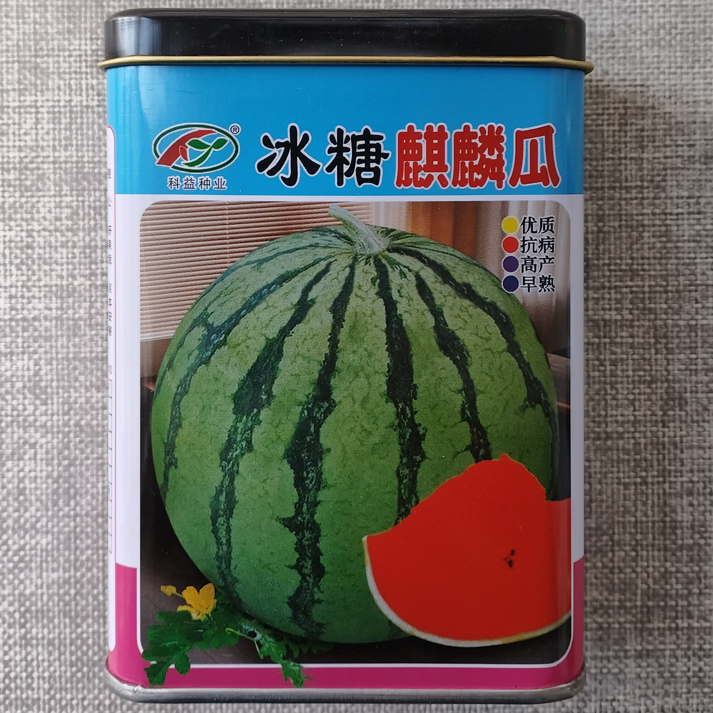 冰糖麒麟瓜优质抗病早熟西瓜种子