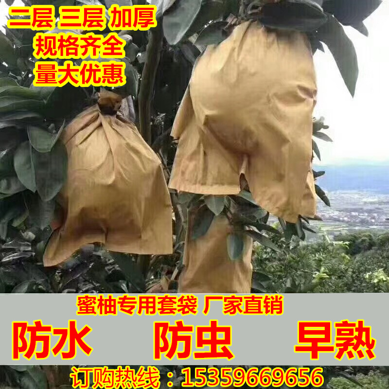 柚子套袋 蜜柚早熟专用套袋沙田柚防虫防水防雨防鸟蚊子金柚子袋