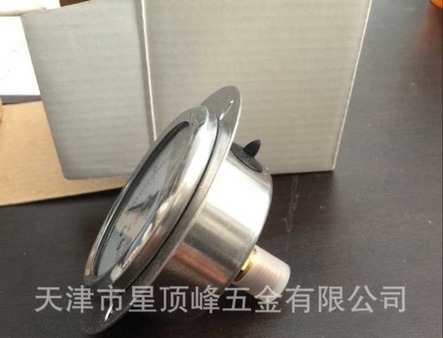 轴向带边耐震YN60ZT压气压
