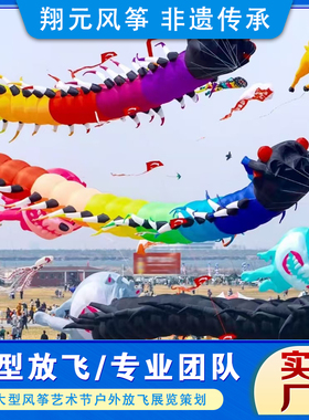 全国承接大型软体风筝策划放飞