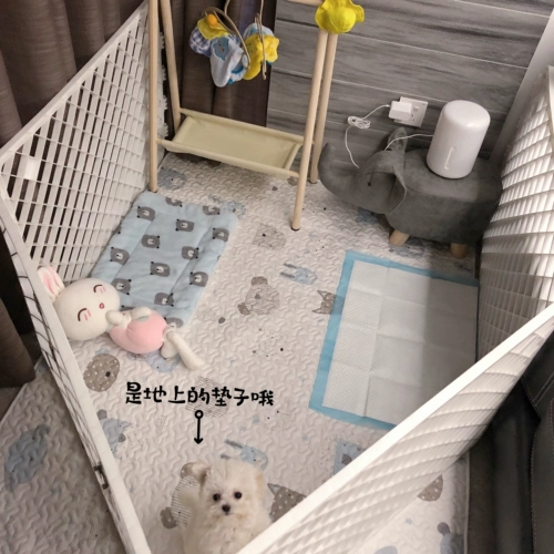 Клейкий рис на пару булочки с одной и той же вдохновенной собакой все хлопковое мультфильм удобный и теплый молотый щенки щенки для собачьих гнезд влаги