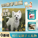 宠物狗狗照片猫咪数字油画定制diy手绘油彩画画萌宠动物填色填充