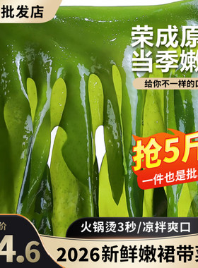 5斤新鲜薄嫩裙带菜叶凉拌菜火锅