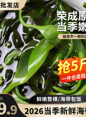 新鲜嫩海带苗小海带芽火锅食材