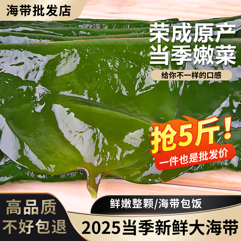 新鲜整颗大海带包饭盐渍厚海带昆布整箱商用5斤半干货凉拌菜食材