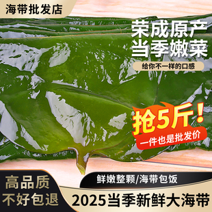 新鲜整颗大海带包饭盐渍厚海带昆布整箱商用5斤半干货凉拌菜食材