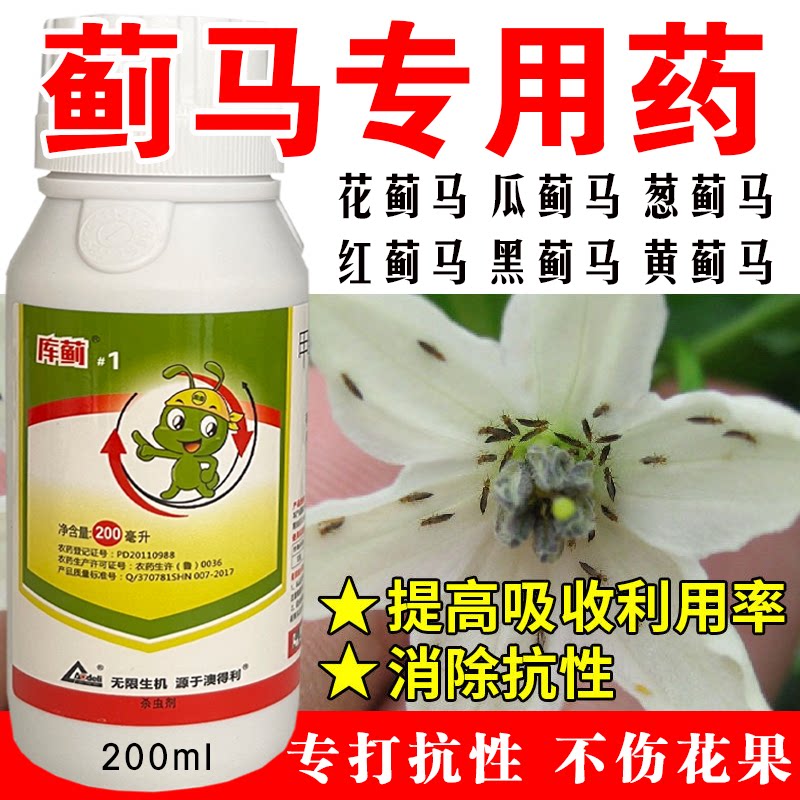 蓟马专用药杀虫蓟马杀虫剂图片