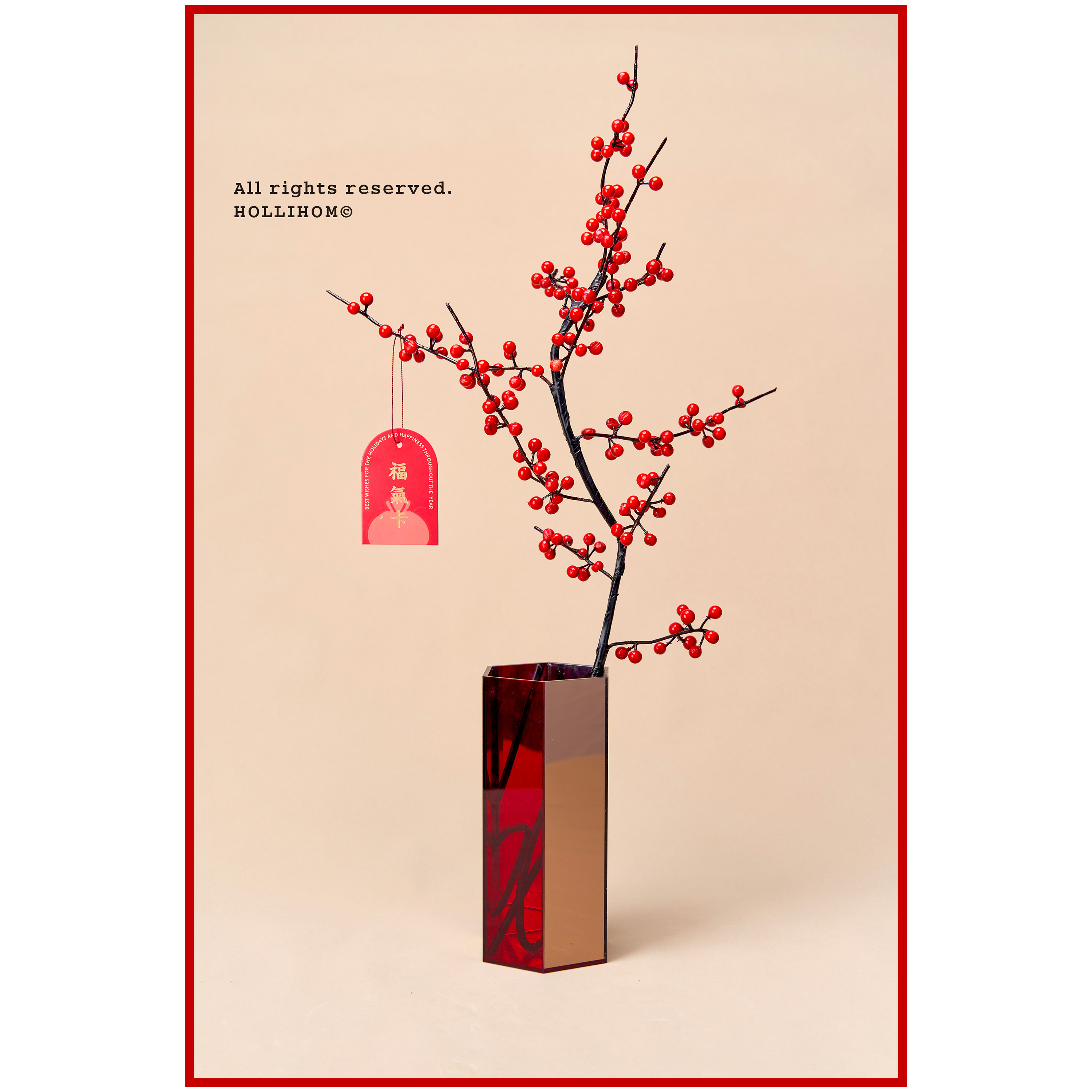 逅里Hollihom 福满丰登 新年橱窗装饰高级感布置冬青摆件乔迁礼物,家居饰品,桌面摆件,淘宝优惠券,粉丝福利购,淘宝优惠卷