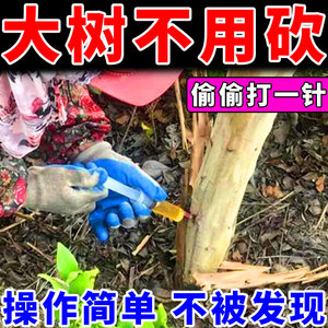 杀大树根药强力除树灭树粉烂根剂强力除树活树枯死一滴树死专用药