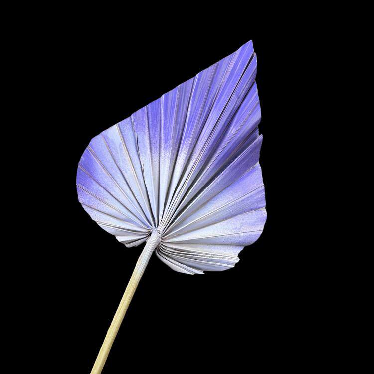 扇子手工干花花束风干永生花高级感插花花材新中式文艺家装装饰