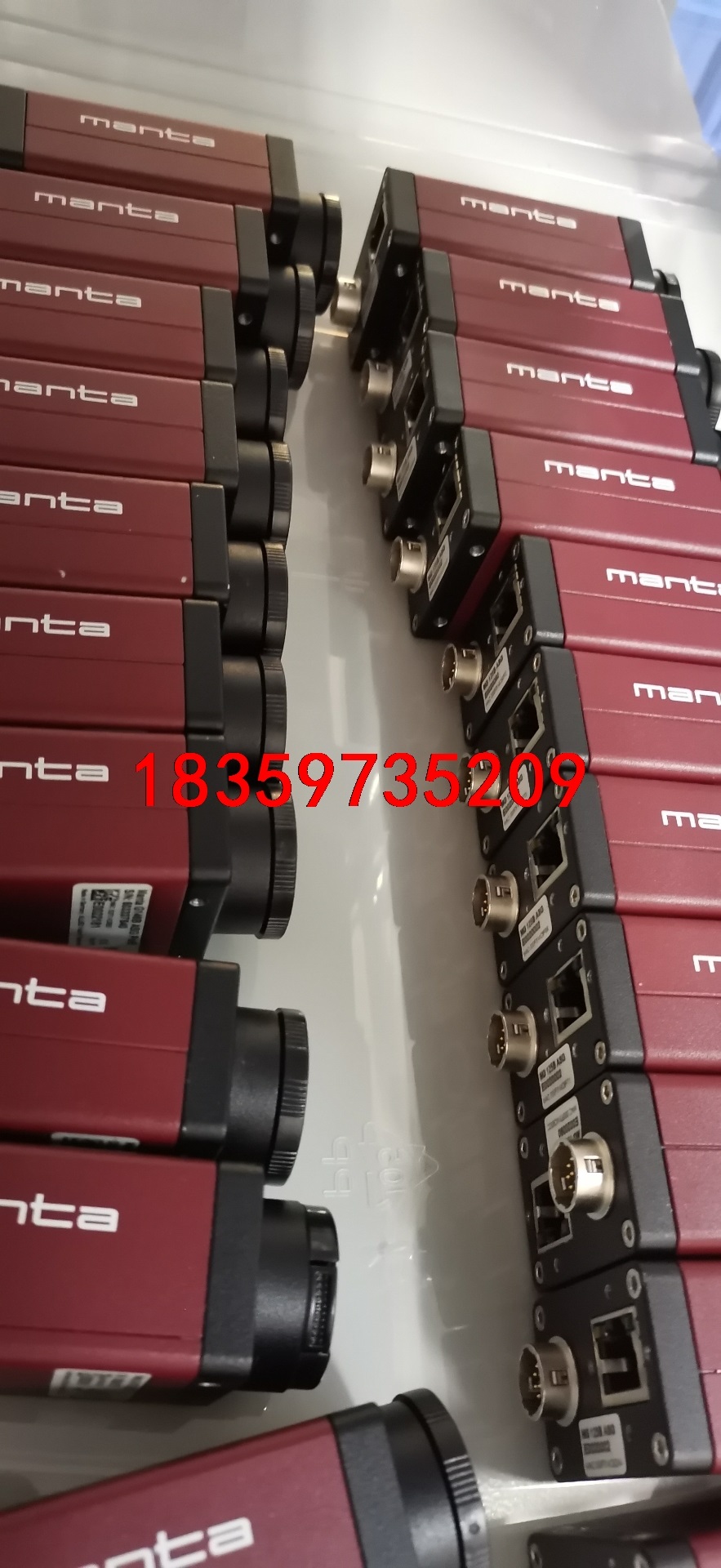 AVT工业相机，MG046B，MG125B，MG145B，M议价