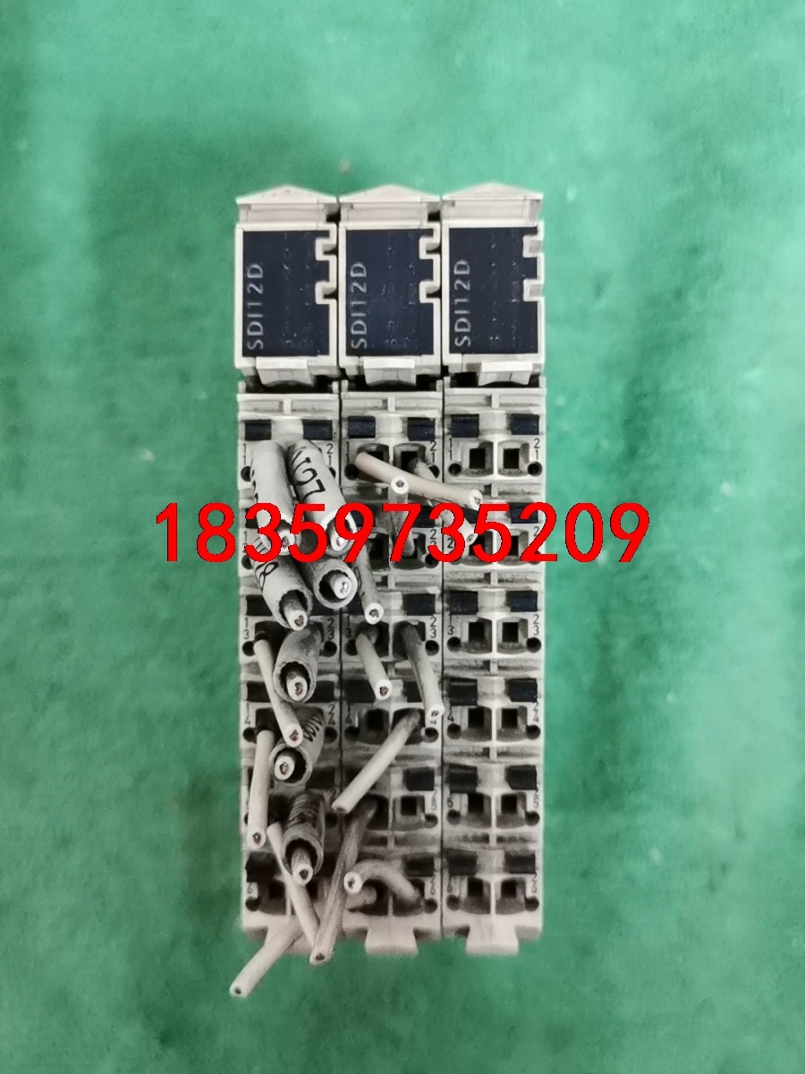 Schneider施耐德TM5SDI12D二手拆机成色如图，议价