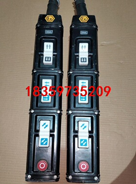 STAHL电葫芦手柄开关 SWH4 32-009  EX-8议价