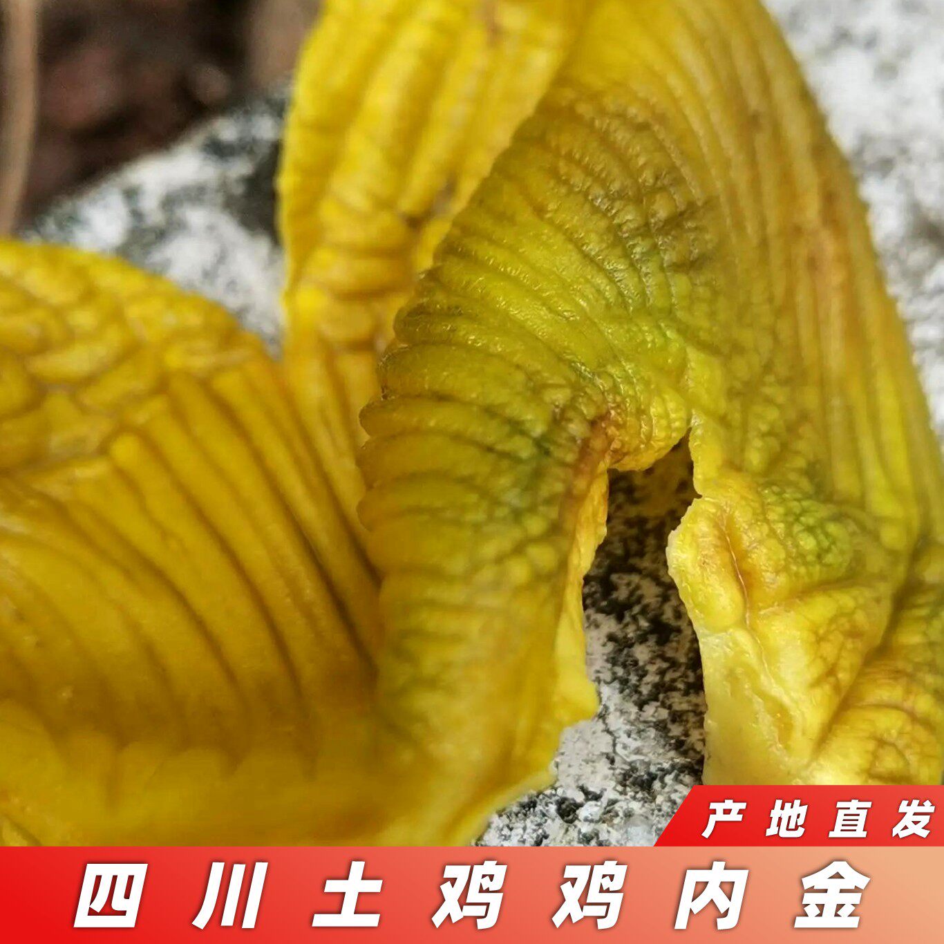 土鸡内金旗舰店中药材生鸡内金粉干片熟鸡胗皮非调理脾胃成人儿童