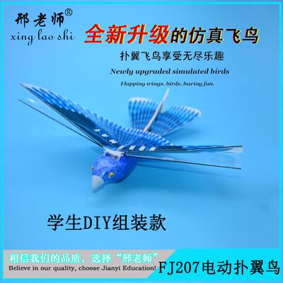 扑翼机仿生航模鲁班鸟科学实验室