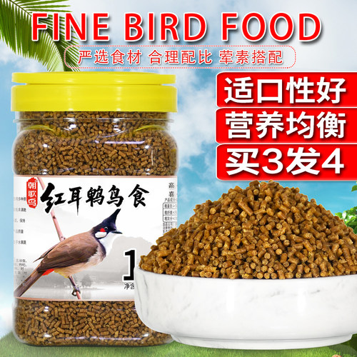 朝歌鸟鸟饲料营养饲料红耳鹎鸟食